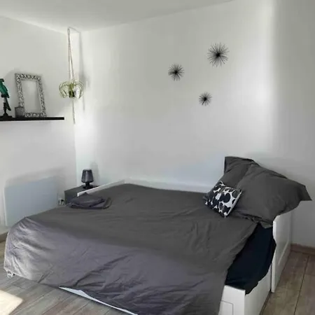 Apartament La Terrasse De Rochard Maison 6p Proche Puy Du Fou *